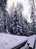 Flagstaff Snowbowl